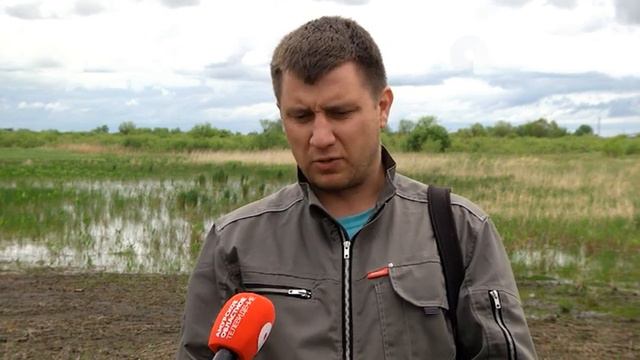 В Березовском заказнике пересчитывают птиц смотреть онлайн