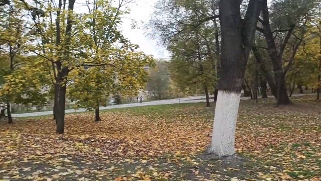 г. Раменское. Городской парк до реконструкции. смотреть онлайн