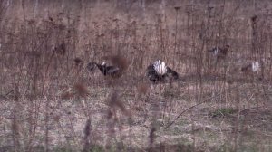 Охотминимум -1 часть