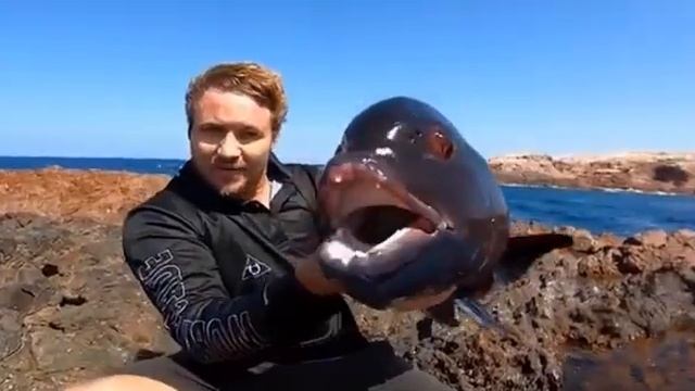 Одна из самых редких рыб смотреть онлайн