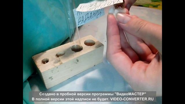 Химический порез смотреть онлайн