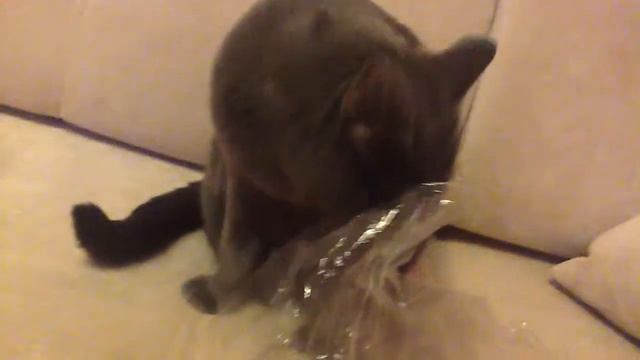 Мэри жует целофан смотреть онлайн