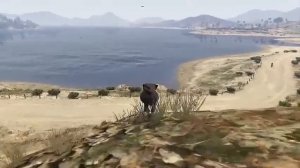 GTA 5 (PS4) | Как стать животным? Лофофор в помощь! #2