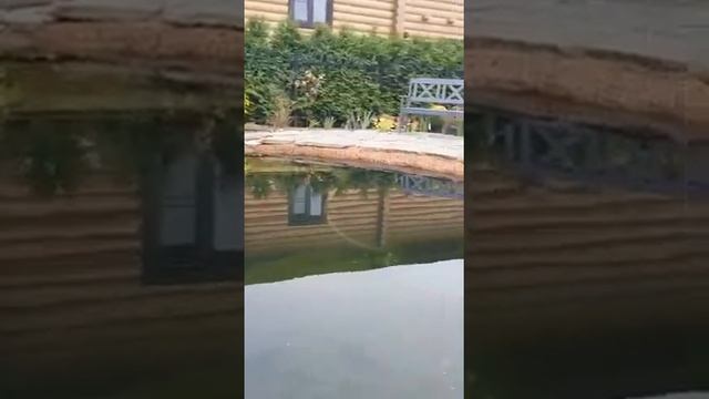 Строительство декоративного пруда пленкой. Декорация камнем, кокосом  - Profpokritie.ru