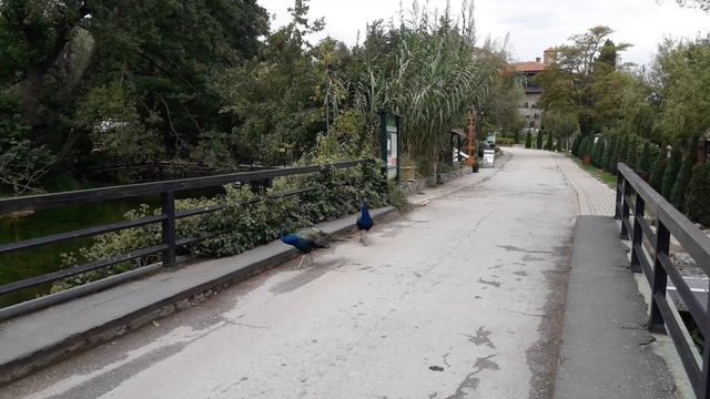 Монастырь Св. Наума, Охрид смотреть онлайн