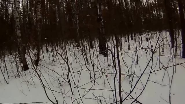 Лыжи 08 01 15 смотреть онлайн