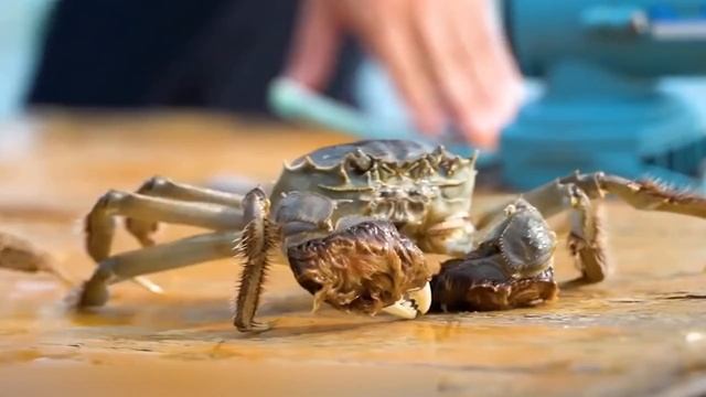 8 САМЫХ ОПАСНЫХ РАКООБРАЗНЫХ В МИРЕ смотреть онлайн