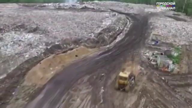 В Переславле на месте мусорного полигона планируют вырастить лес