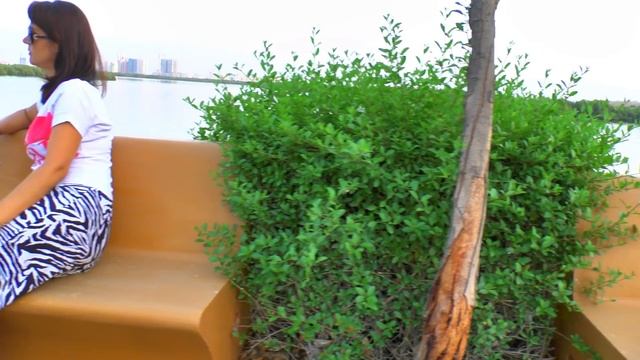 Залив и мангровая роща | Mangrove | Рас Эль Хайма смотреть онлайн