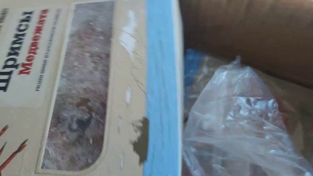 Медвежонок шримс крупный(медведка)