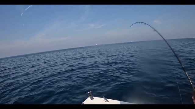 Как поймать тунца? Морские приключения продолжаются ! смотреть онлайн