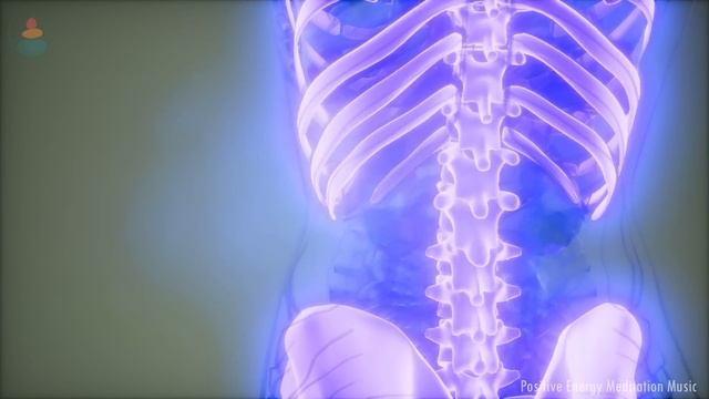 Sonido De Agua Curación Todo El Cuerpo: Musicoterapia De Rehabilitación Verificada, 98 9% Efectivo