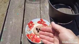 Клематисы радуют и легко размножаются семенами