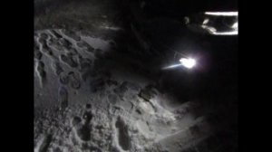 Убираем мерцание нештатных LED ламп в птф, ближнем и дальнем свете, поворотах на Renault. Экутвикер