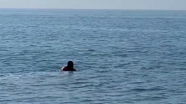 Японское море смотреть онлайн