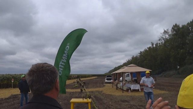 Перспективные гибриды подсолнечника компании Nuseed смотреть онлайн