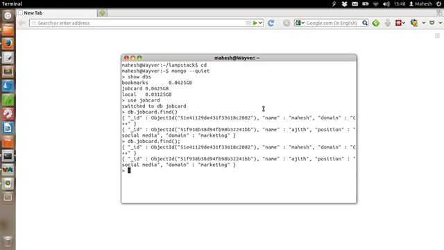 MongoDB Database - Documents and Collections смотреть онлайн