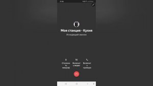 Яндекс станция тоже умеет принимать звонки!!!