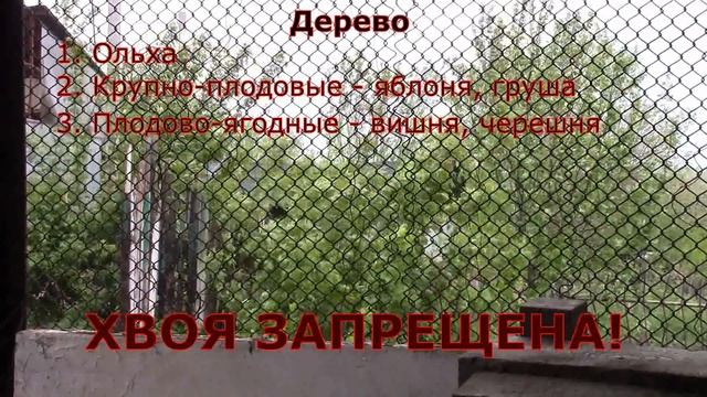 Холодное копчение рыбы. Рецепт вялено-копчёной рыбы смотреть онлайн