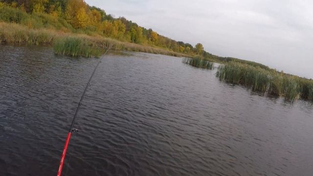 КАК Щука ЛОВИТСЯ на ПОППЕР. Я В ШОКЕ!!! смотреть онлайн