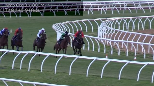 OSCIETRA (By Exceed And Excel x Black Caviar) смотреть онлайн