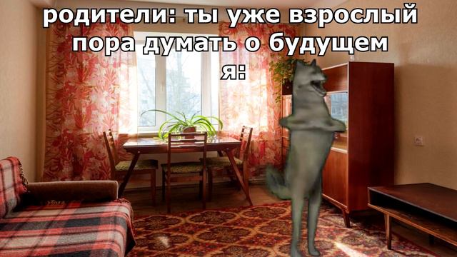 ИХВИЛЬНИХТ сборник мемов ЧАСТЬ 3 #ихвильнихт #тренды #танецволка #2023 #ichwillnicht #trending смотреть онлайн