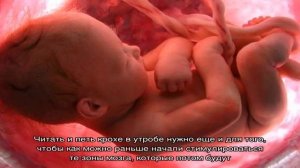 Когда ребенок начинает слышать в утробе матери?