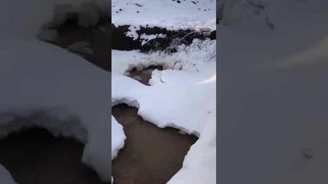 Замерзая вода увеличивается в объёме, став кристалической будет менять объём, рарушая глину. смотреть онлайн