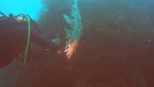 Unknown Shipwreck- Kuantan смотреть онлайн