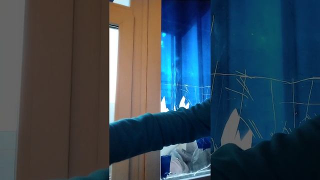 лайвхак как снять солнечную плёнку со стекла#лайфхак #стекло #пленка #фен #нож #помошь #подпишись. смотреть онлайн