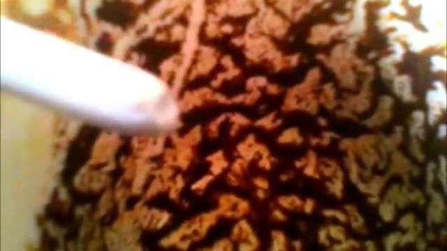 Как научится гадать на кофейной гуще Часть №2, 2 урок смотреть онлайн