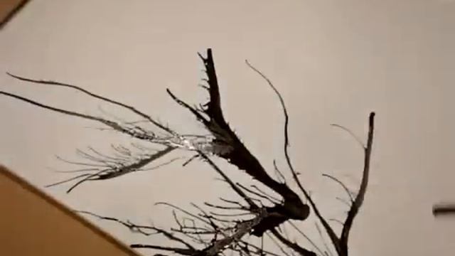 Интересный способ нарисовать цветущую сакуру смотреть онлайн