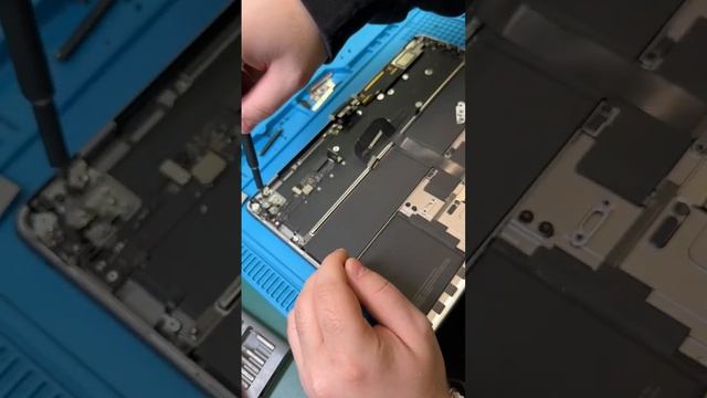 Кот пометил MacBook Air M2 - ремонт ноутбука, который перестал включаться смотреть онлайн