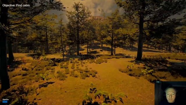 A Lonely Cabin Trip - Noobs vs Games Livestream! ! смотреть онлайн