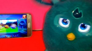 Как научить Furby Connect петь