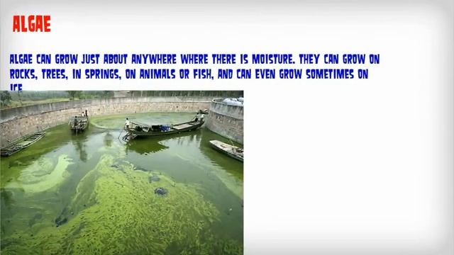 Growth conditions of microorganisms смотреть онлайн