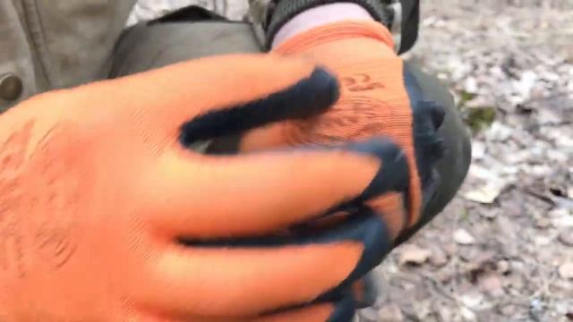 ТОЛЯЧА купил Minelab EQUINOX 600 / Лесные Копатели / смотреть онлайн