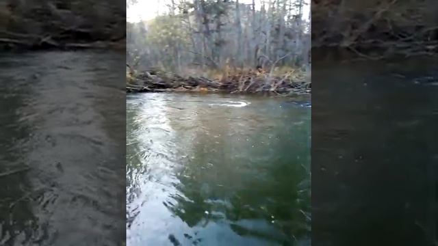 р.Большая уссурка смотреть онлайн