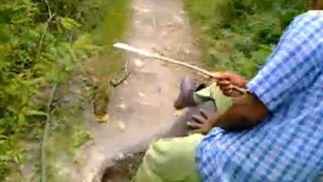 Сафари на слонах.Не знаю,почему я себя не сняла.Жалко! смотреть онлайн