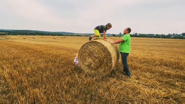 Вдохновение в стогах сена 🙃 смотреть онлайн
