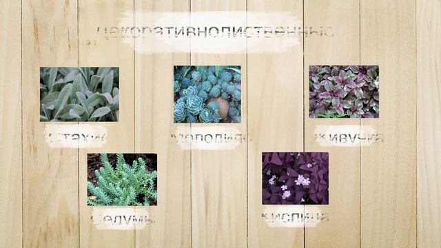 ✿КЛУМБА "ЦВЕТОЧНЫЙ РУЧЕЙ"✿ смотреть онлайн