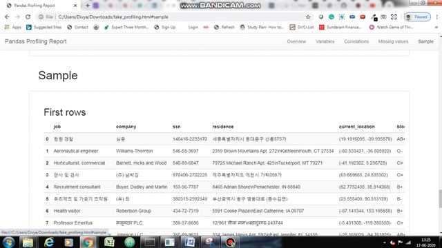 Pandas Profiling смотреть онлайн
