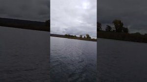 Лодка Ривер Ботс 330 нднд