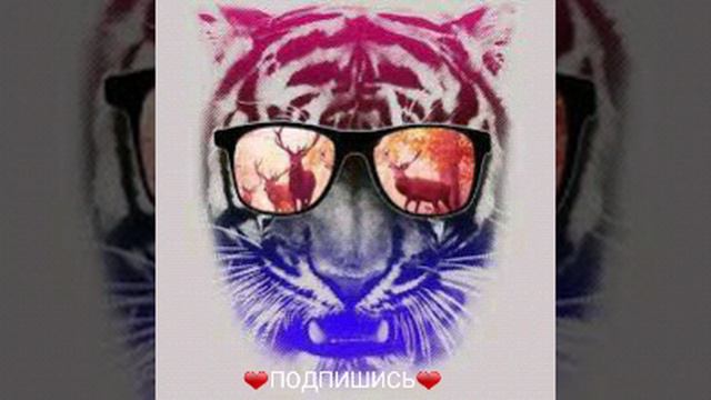 Скажи как ты любишь меня ❤ смотреть онлайн