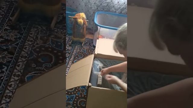 VID 20180808 175223 смотреть онлайн