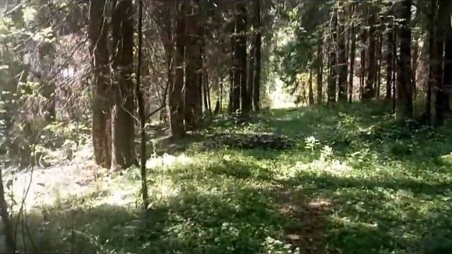 Одиночный ПВД наткнулся на балаган часть-2 смотреть онлайн