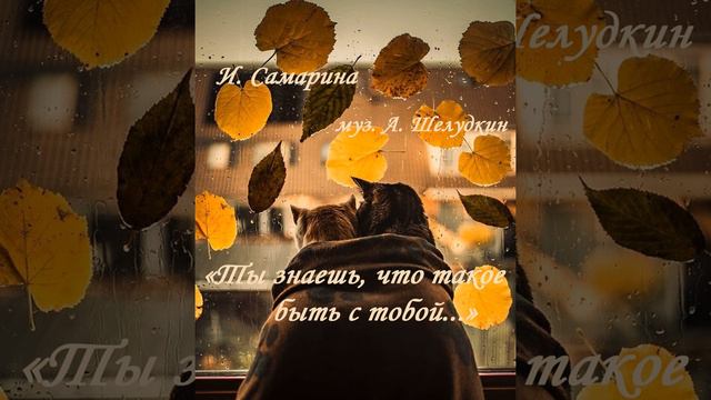 Ты знаешь, что такое быть с тобой... И. Самарина - муз. А. Шелудкин смотреть онлайн