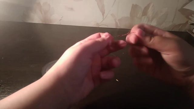 Монтаж снасти на сазана и карася донки (закидушки ) смотреть онлайн