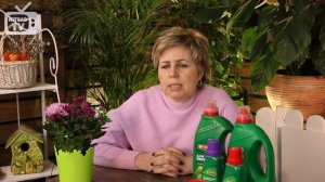 Сорта барбариса ? Топ самых ярких кустарников - видео обзор HitsadTV