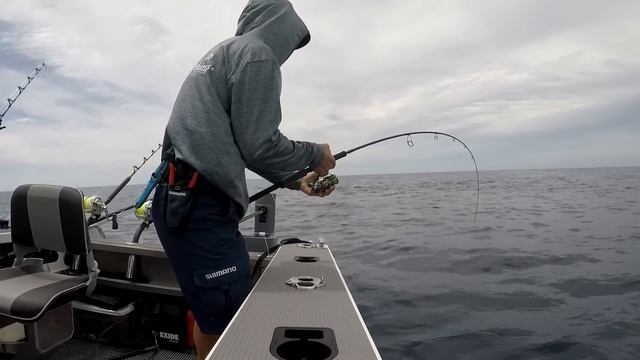Shimano Stella 3000 Unboxing & Review - Yellowtail Kingfish Test смотреть онлайн